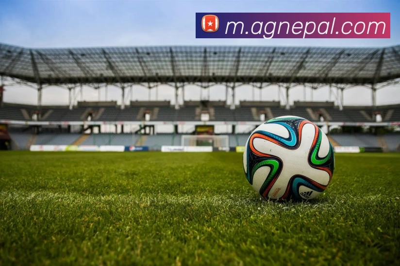 ag视讯官网平台生态图